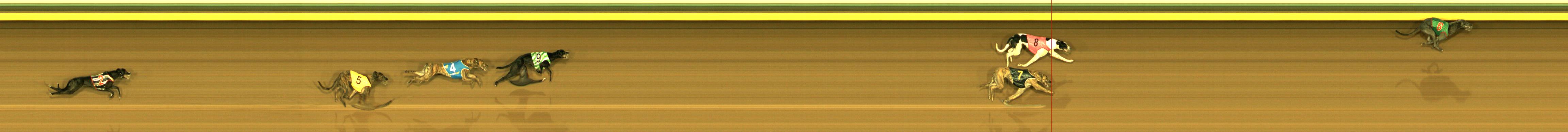 Race result finish photo